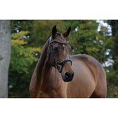 Collegiate Briglia ComFiTec Vogue Anatomisch Nero Collegiate Briglia ComFiTec Vogue Anatomisch Nero