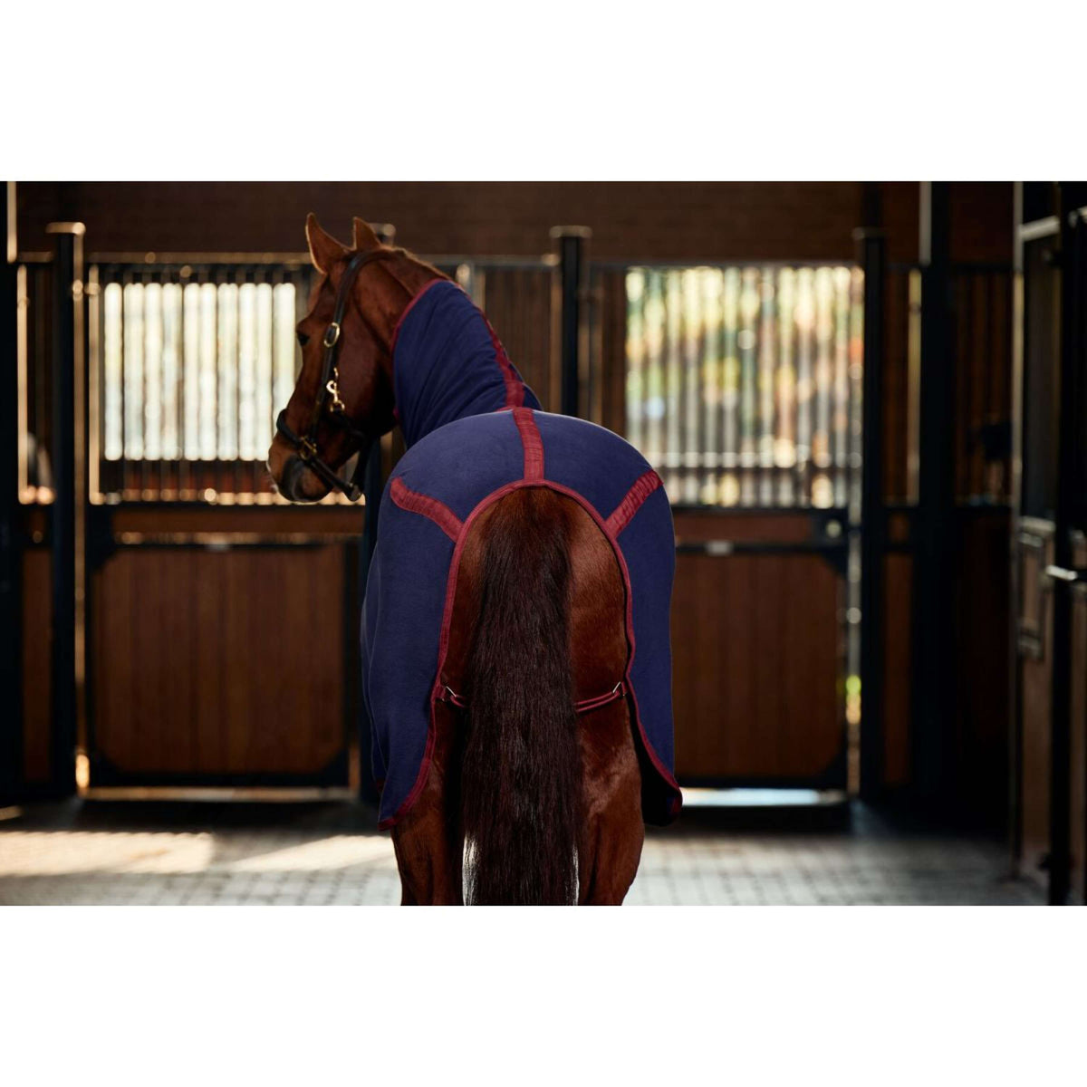 Weatherbeeta Coperta in Pile Anti-Static Cooler Combo Neck Navy/Burgundy Weatherbeeta Coperta in Pile Anti-Static Cooler Combo Neck Navy/Burgundy