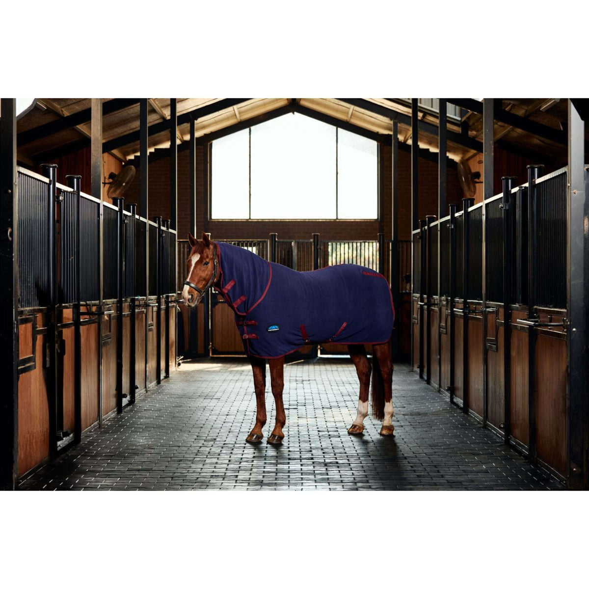 Weatherbeeta Coperta in Pile Anti-Static Cooler Combo Neck Navy/Burgundy Weatherbeeta Coperta in Pile Anti-Static Cooler Combo Neck Navy/Burgundy