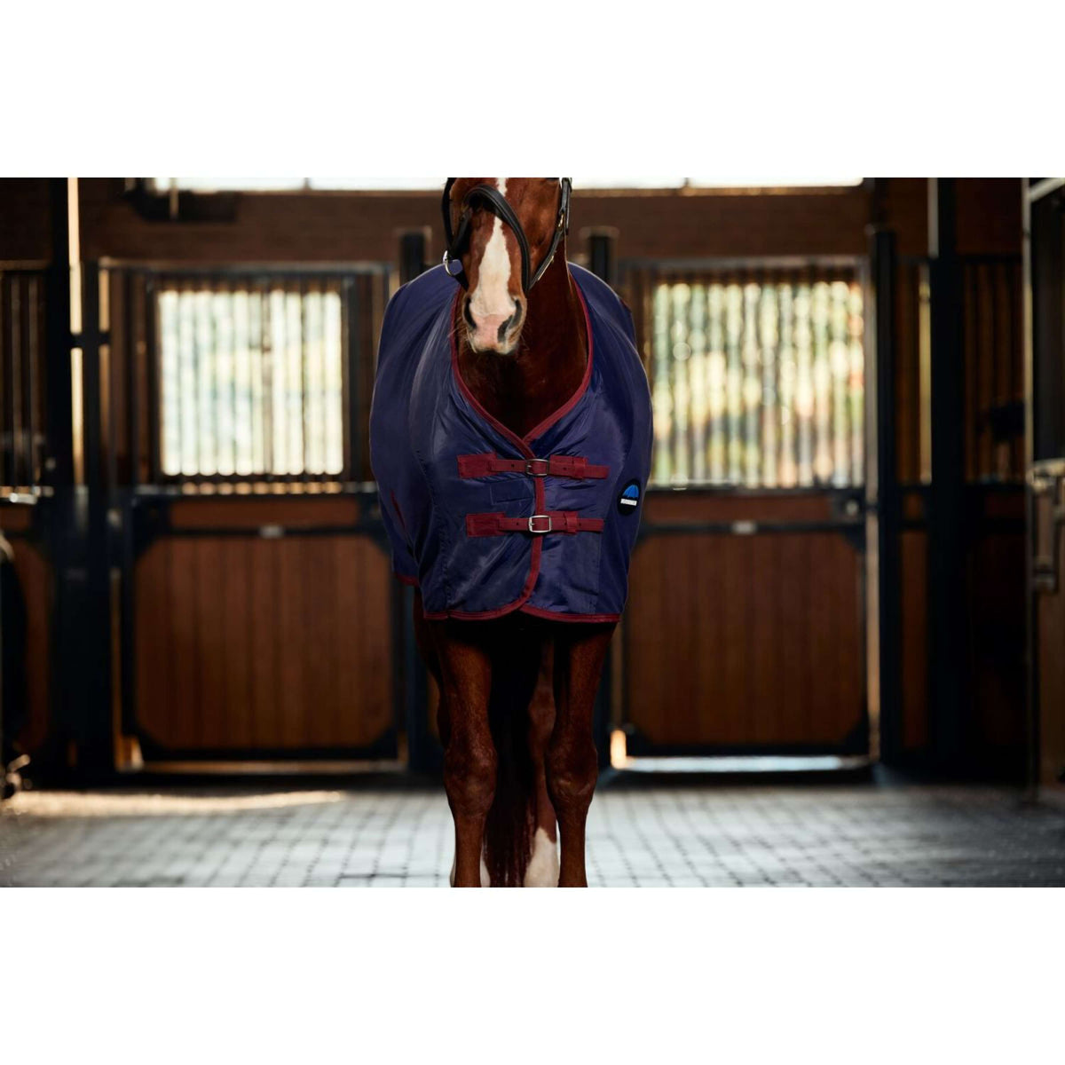 Weatherbeeta Coperta in Pile Anti-Static Cooler Standard Neck Navy/Burgundy Weatherbeeta Coperta in Pile Anti-Static Cooler Standard Neck Navy/Burgundy