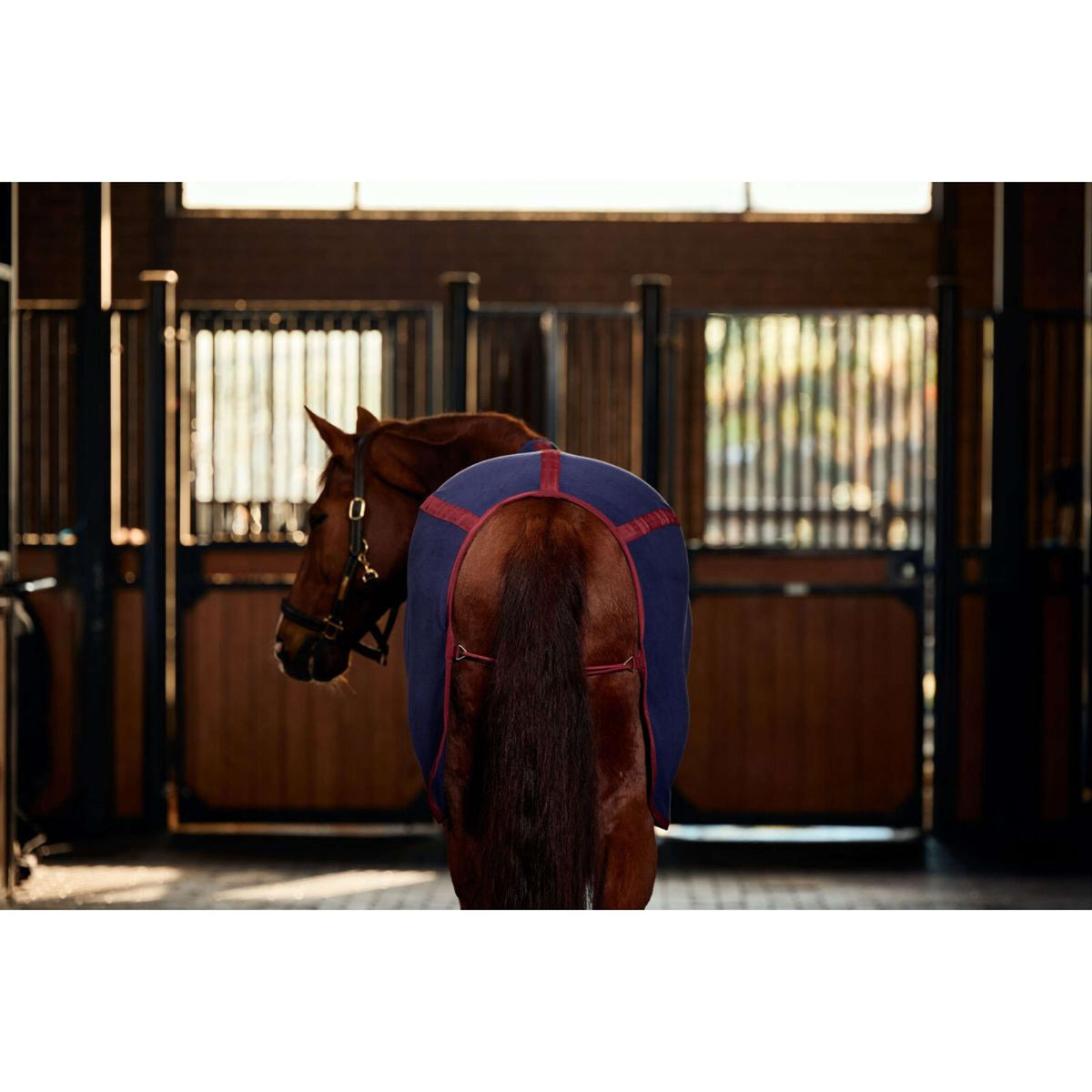 Weatherbeeta Coperta in Pile Anti-Static Cooler Standard Neck Navy/Burgundy Weatherbeeta Coperta in Pile Anti-Static Cooler Standard Neck Navy/Burgundy