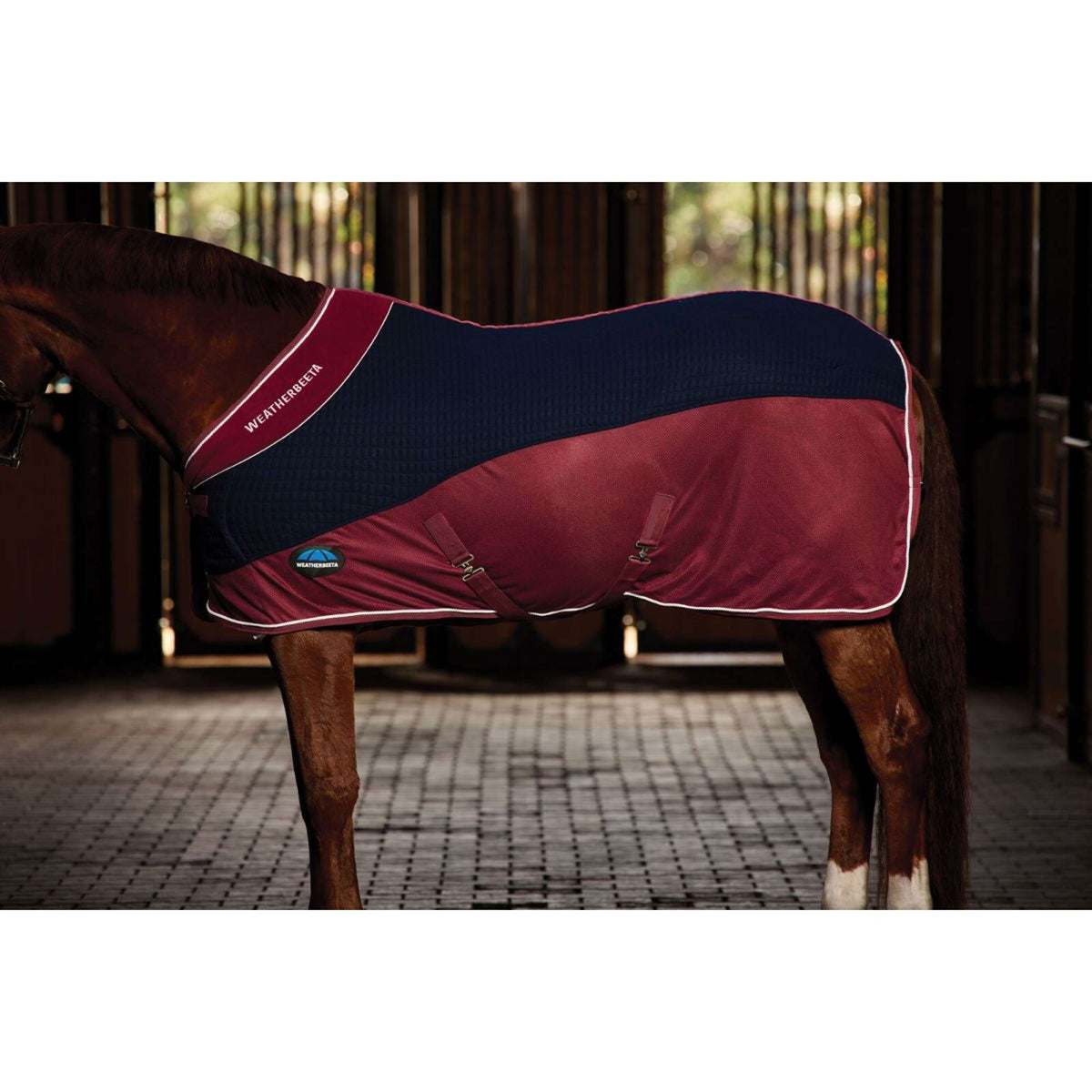Weatherbeeta Coperta in Pile Thermo-Air Standard Neck Navy/Burgundy Weatherbeeta Coperta in Pile Thermo-Air Standard Neck Navy/Burgundy