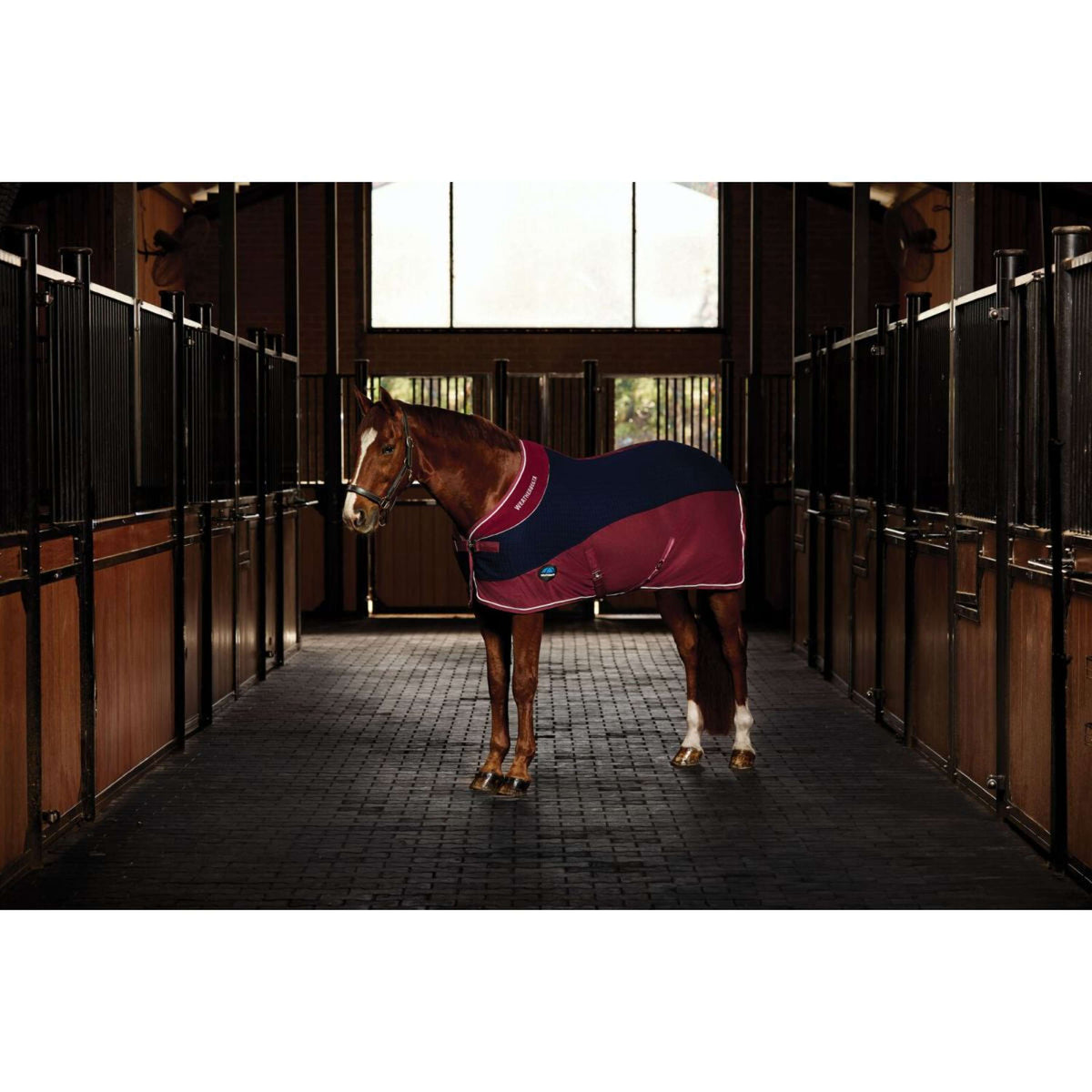 Weatherbeeta Coperta in Pile Thermo-Air Standard Neck Navy/Burgundy Weatherbeeta Coperta in Pile Thermo-Air Standard Neck Navy/Burgundy