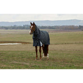 WeatherBeeta ComFiTec Ultra Turnout Detach-A-Neck 220 g Carbone WeatherBeeta ComFiTec Ultra Turnout Detach-A-Neck 220 g Carbone