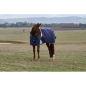 WeatherBeeta ComFiTec Plus Dynamic Turnout 220 g Navy/Forest Green WeatherBeeta ComFiTec Plus Dynamic Turnout 220 g Navy/Forest Green