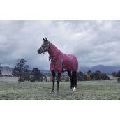 WeatherBeeta ComFiTec Essential Turnout Detach-A-Neck 220 g Borgogna/Marina WeatherBeeta ComFiTec Essential Turnout Detach-A-Neck 220 g Borgogna/Marina