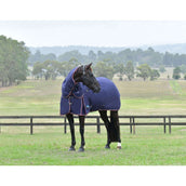 WeatherBeeta ComFiTec Essential Turnout Detach-A-Neck 50 g Navy/Burgundy WeatherBeeta ComFiTec Essential Turnout Detach-A-Neck 50 g Navy/Burgundy