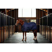 WeatherBeeta Coperta da scuderia ComFiTec PP Channel Quilt Detach-A-Neck 220 g Blu marino/Carbone WeatherBeeta Coperta da scuderia ComFiTec PP Channel Quilt Detach-A-Neck 220 g Blu marino/Carbone