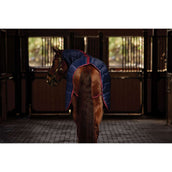 WeatherBeeta Coperta da scuderia ComFiTec 210D Channel Quilt Combo Neck 100g Navy/Burgundy WeatherBeeta Coperta da scuderia ComFiTec 210D Channel Quilt Combo Neck 100g Navy/Burgundy