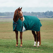 WeatherBeeta ComFiTec Plus Dynamic Turnout High Neck 0g Forest Green/Navy WeatherBeeta ComFiTec Plus Dynamic Turnout High Neck 0g Forest Green/Navy