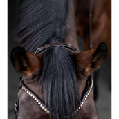 Waldhausen Briglia X-Line Relaxation Waldhausen Briglia X-Line Relaxation