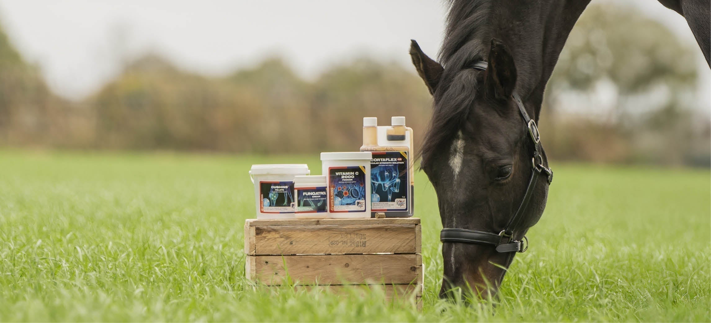 Pronto per la nuova stagione? I prodotti primaverili ed estivi di Equine America
