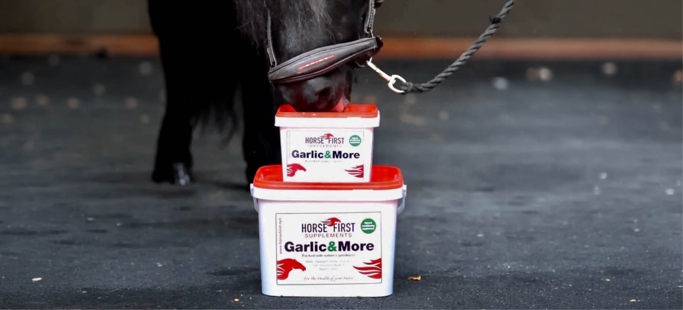 Preparare il cavallo all’autunno: la guida stagionale di Horse First