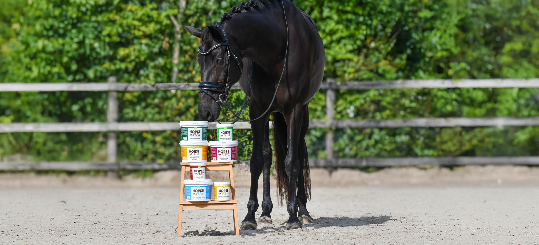 HorseFlex: Tutto sui integratori