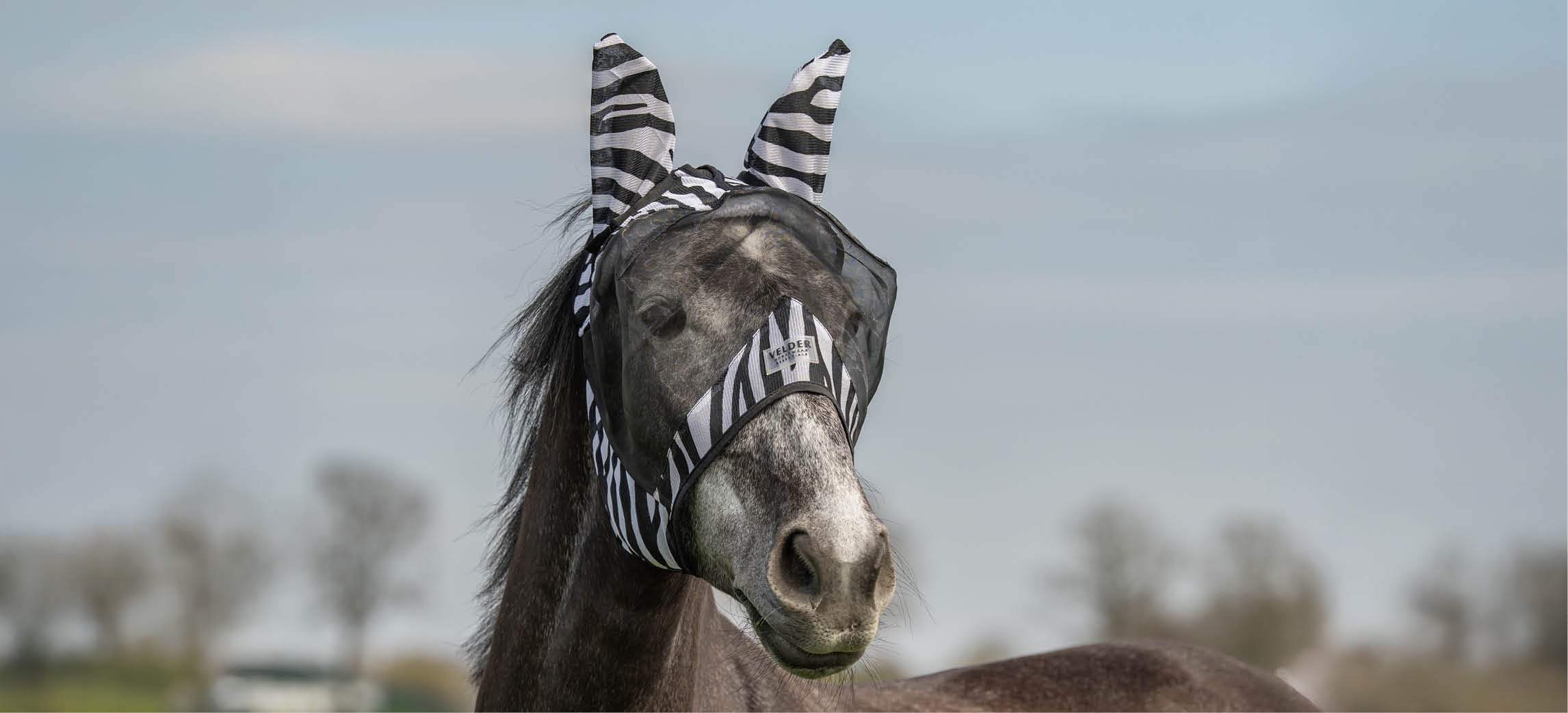 Maschera Antimosche per cavalli: come scegliere la protezione giusta