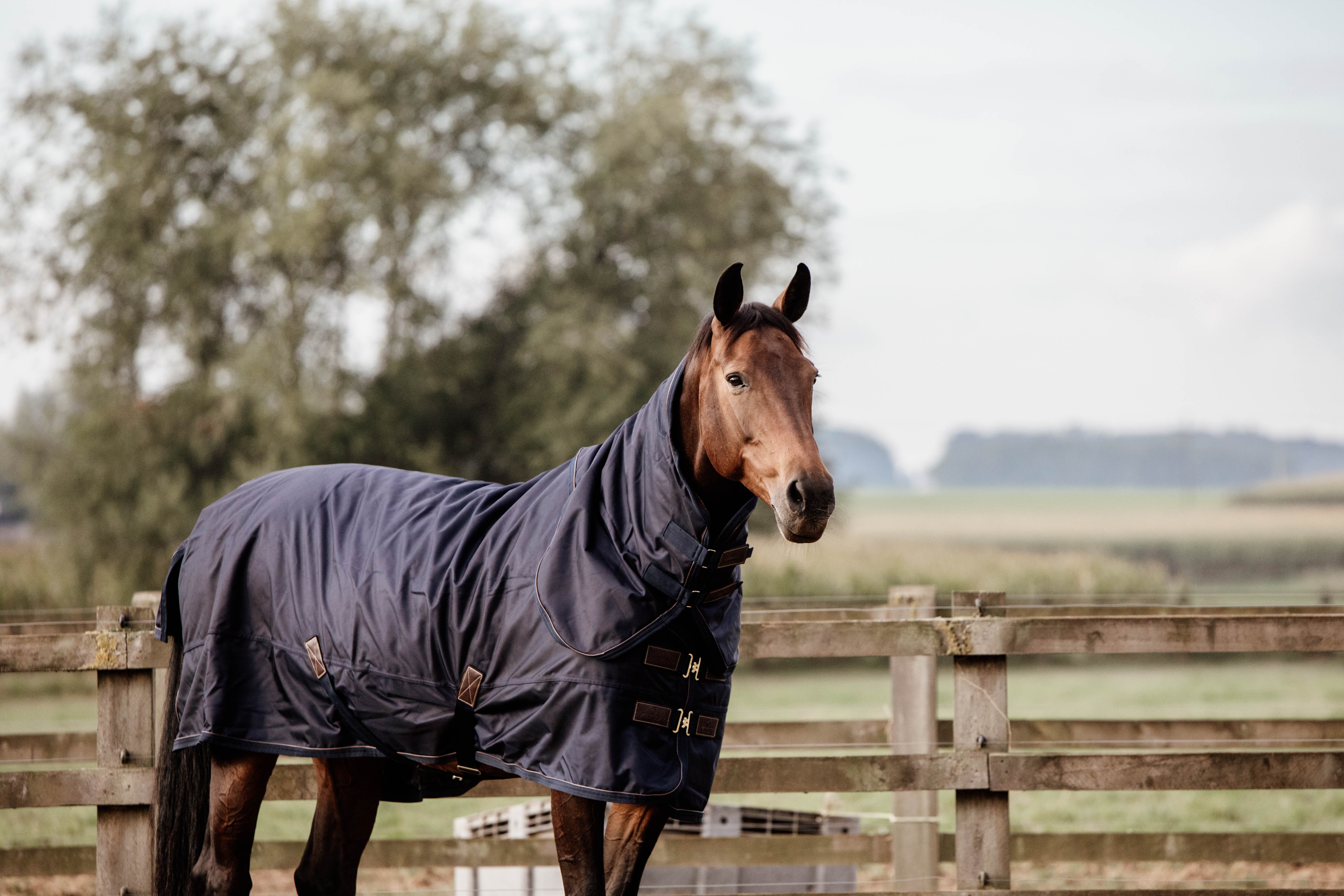 Descubre las mantas de exterior de Kentucky.