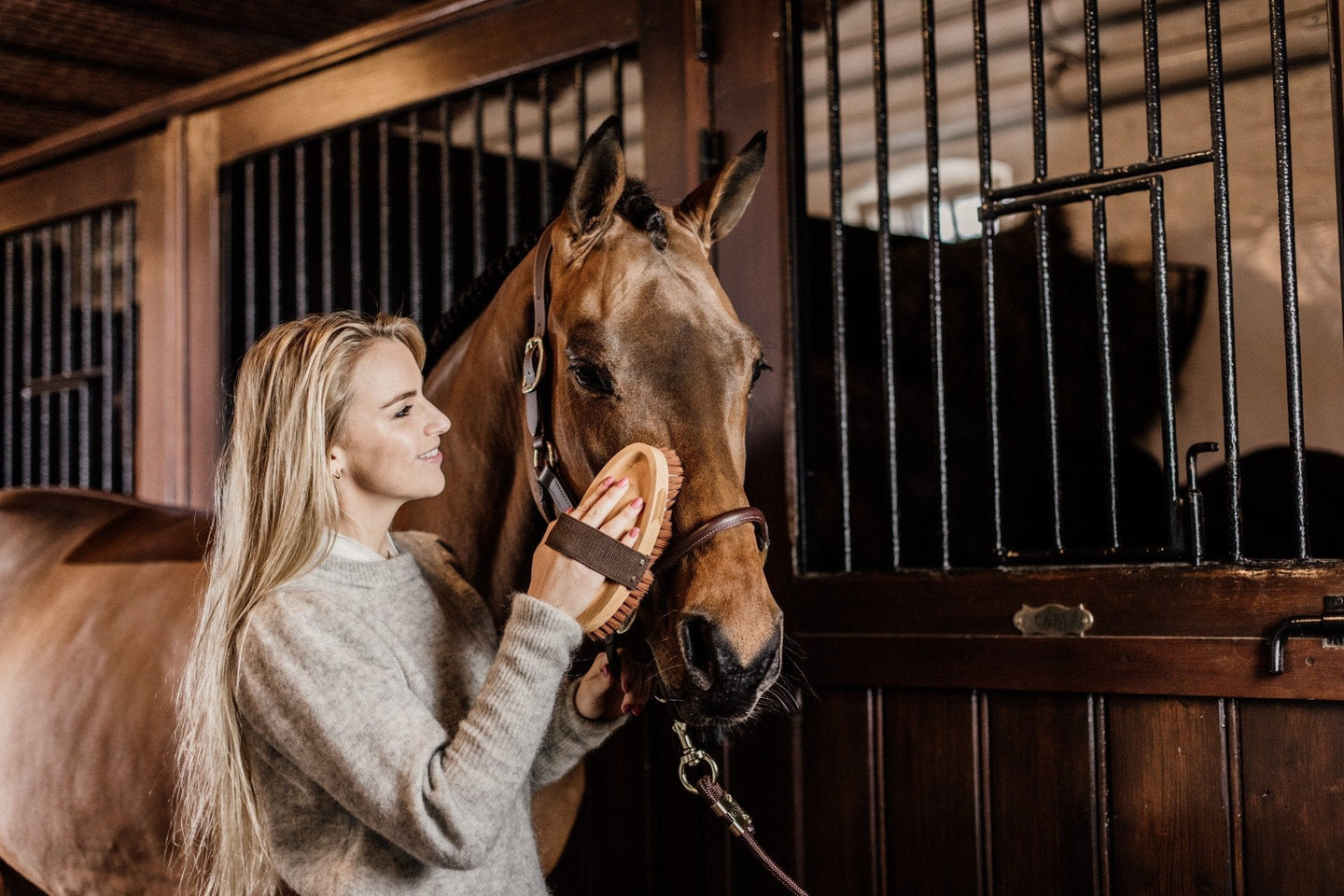 Grooming Deluxe: funzionale ed elegante