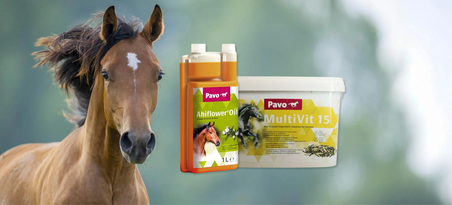 Dai al tuo cavallo un sostegno durante la muta del pelo