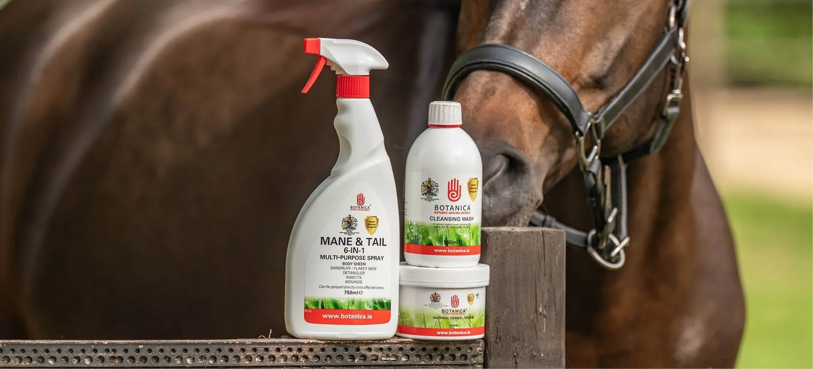 Aiuta il tuo cavallo con il prurito!
