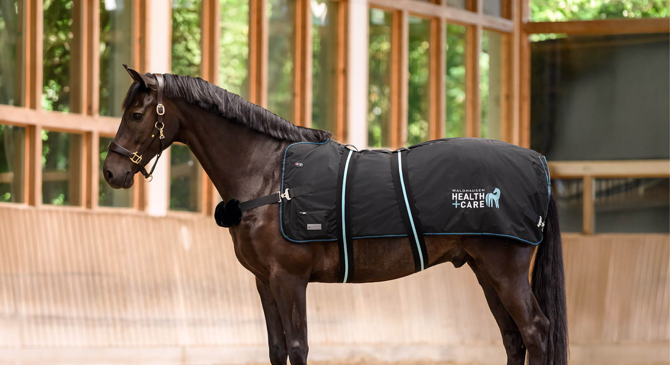 Calore e massaggio per il tuo cavallo: Waldhausen Health + Care