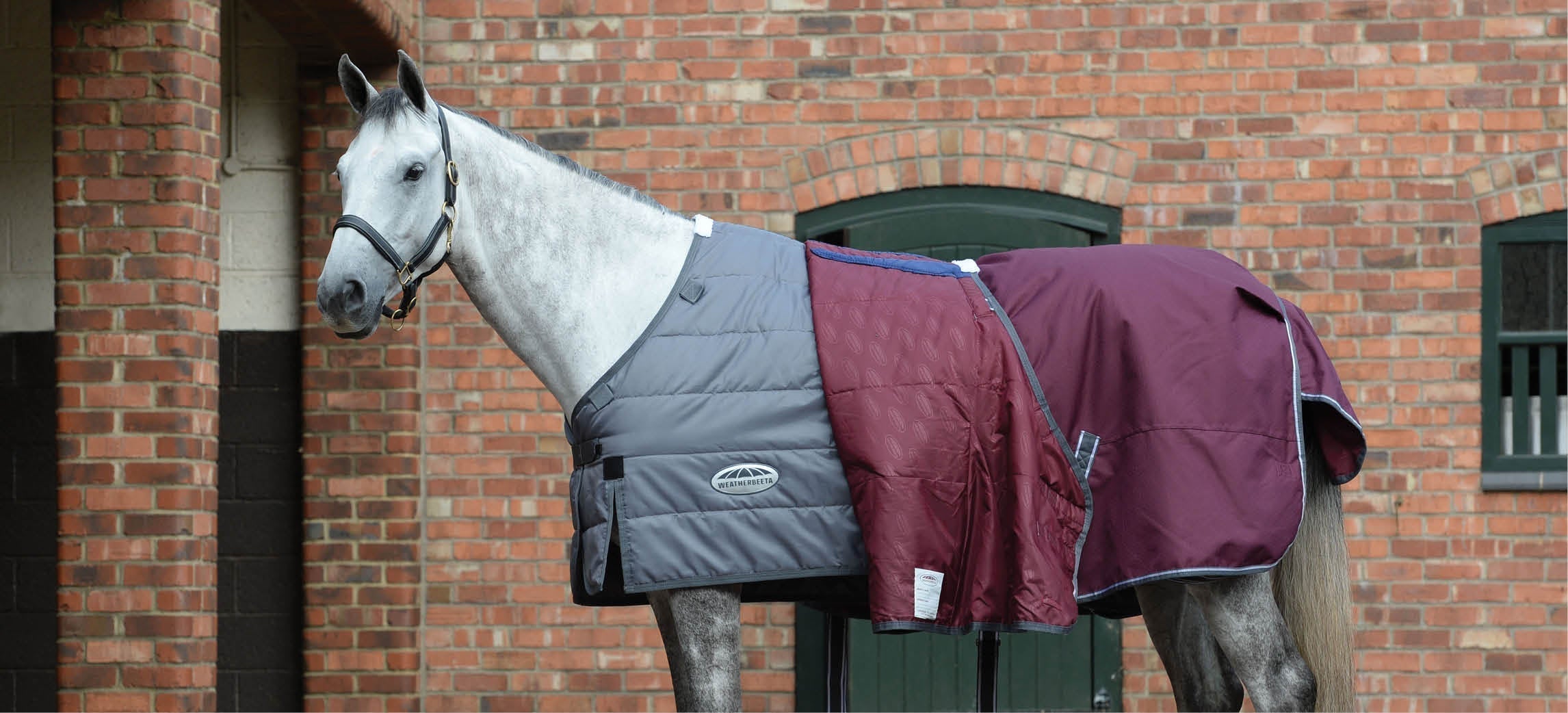 Guida alle coperte: quando usare quale coperta per il tuo cavallo?