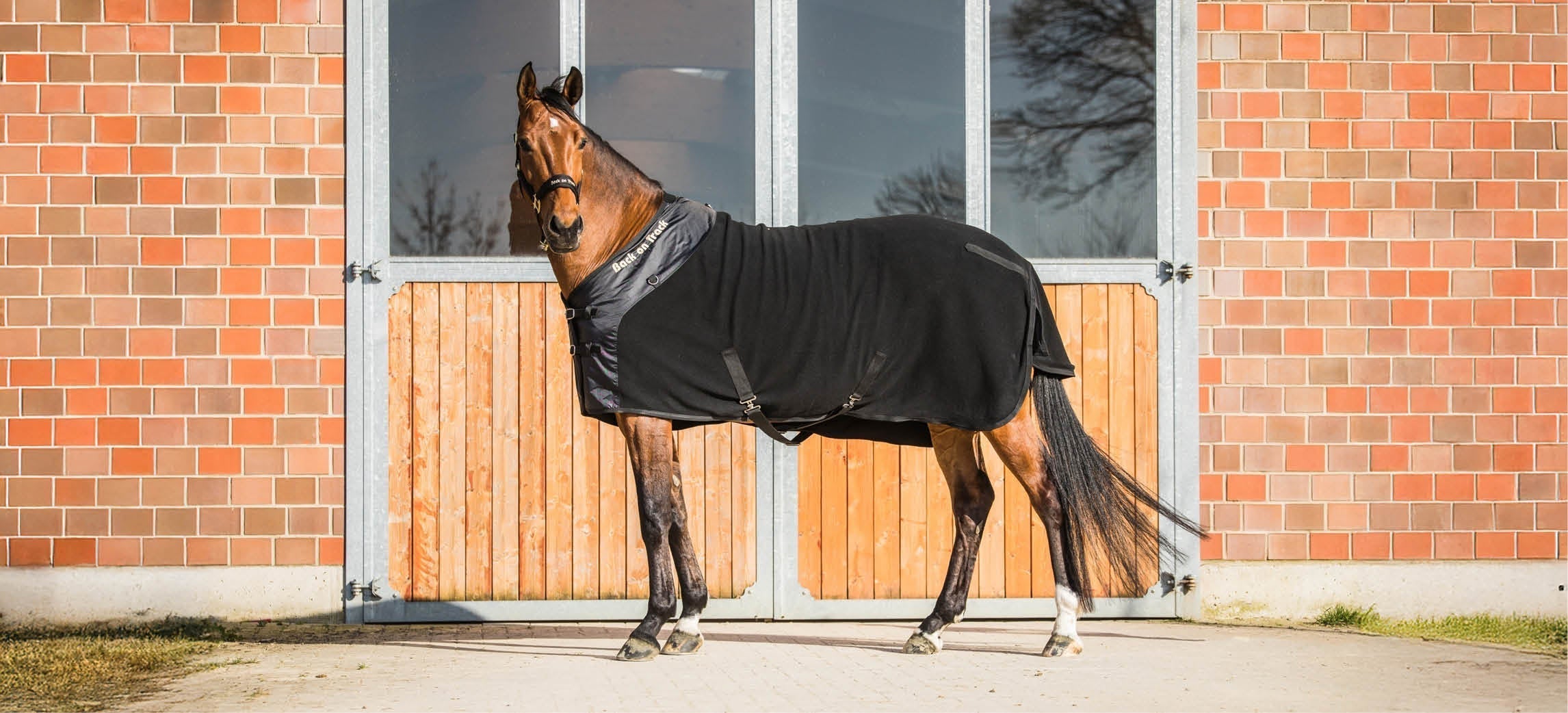 Quando usare una coperta traspirante per il tuo cavallo?