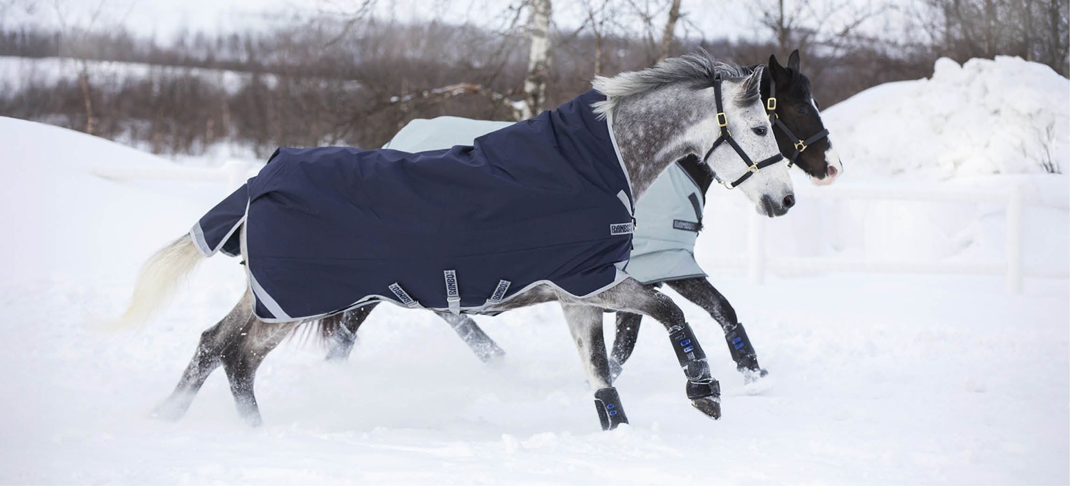 Guida alle coperte invernali: di quale coperta invernale ha bisogno il mio cavallo?
