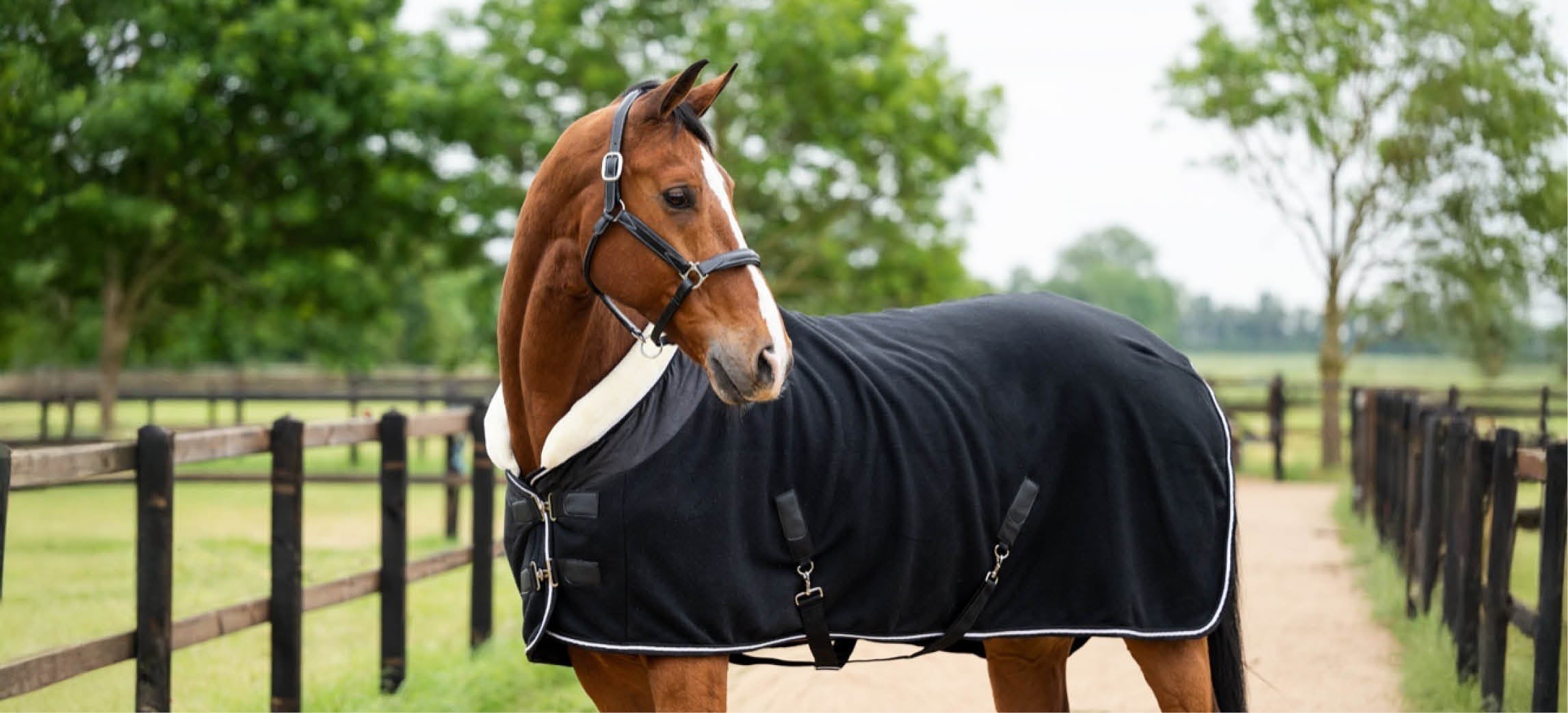 Coperta in lana o in pile per il tuo cavallo?