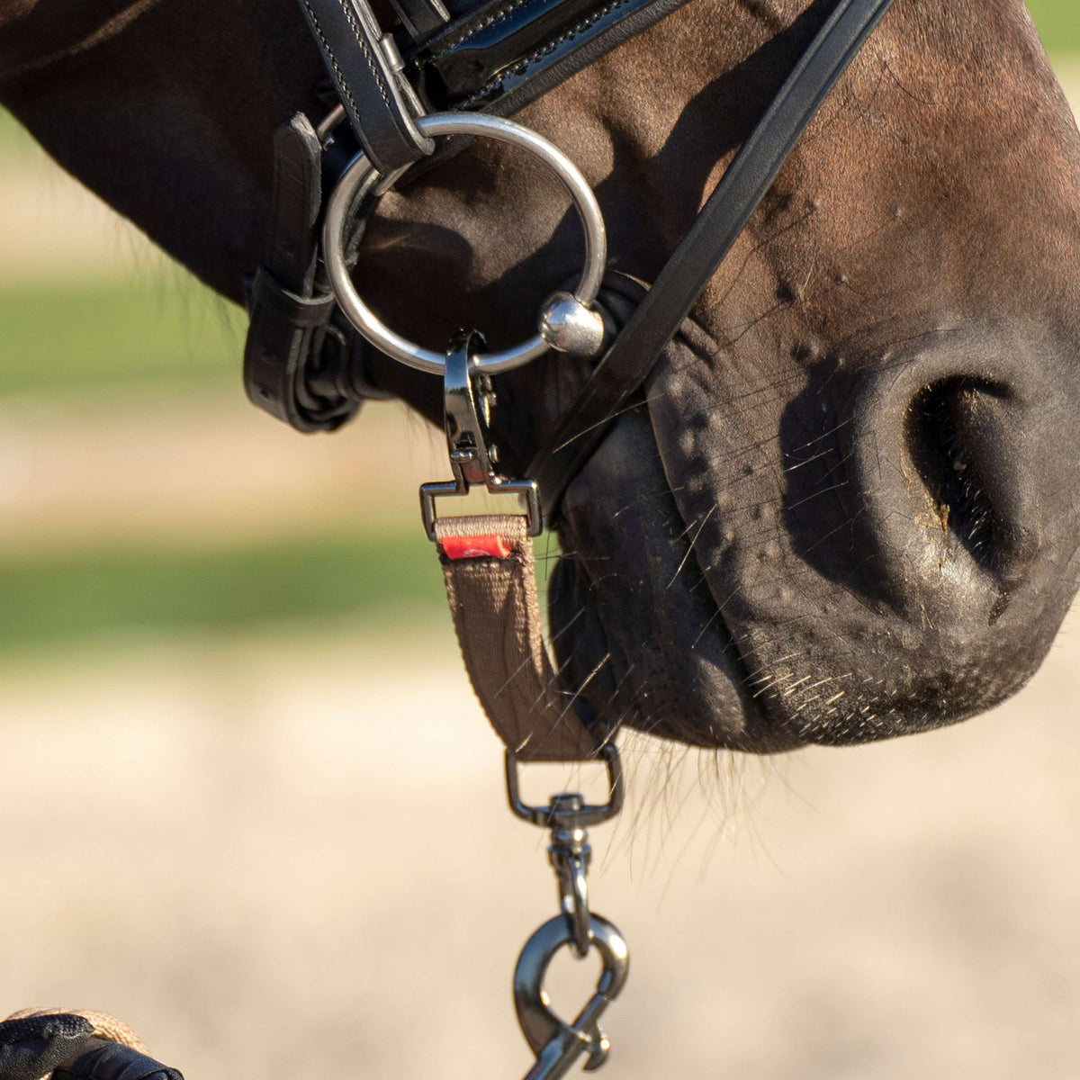 Imperial Riding Pezzo di briglie per longe IRH Cappuccino