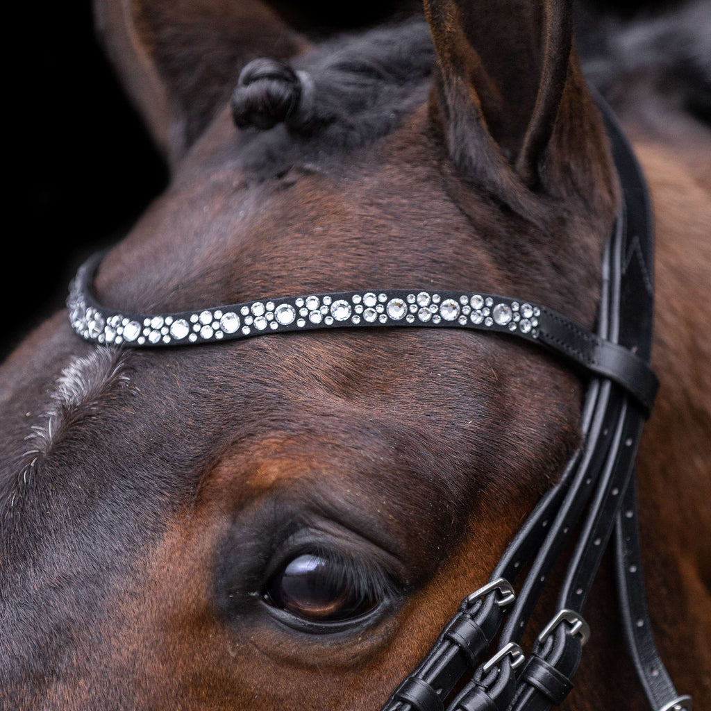 Imperial Riding Briglia IRHOlympia Nero Argento