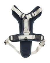 Weatherbeeta Pettorina per Cane Explorer
