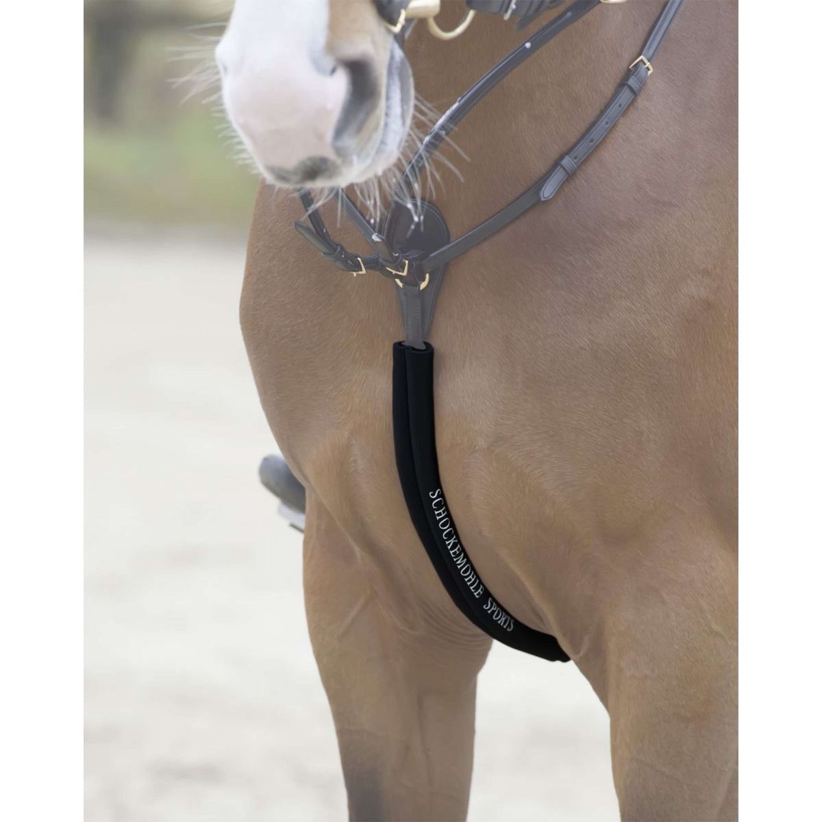 Schockemöhle Protettore della corazza Nero