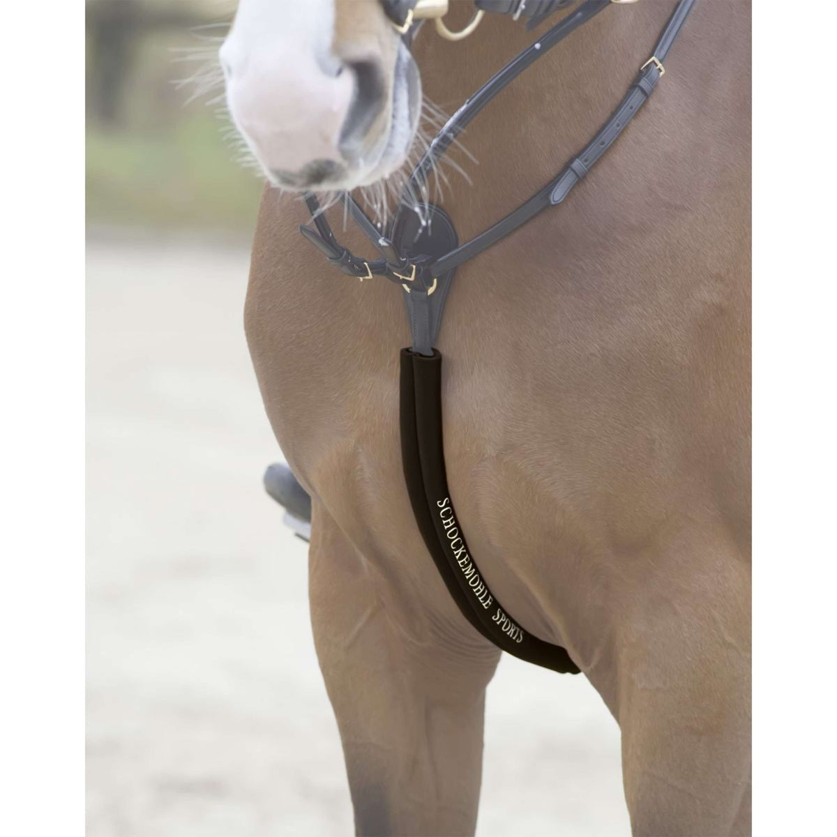 Schockemöhle Protettore della corazza Espresso