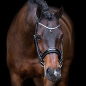 Imperial Riding Briglia Doppia IRHOlympia Nero Argento