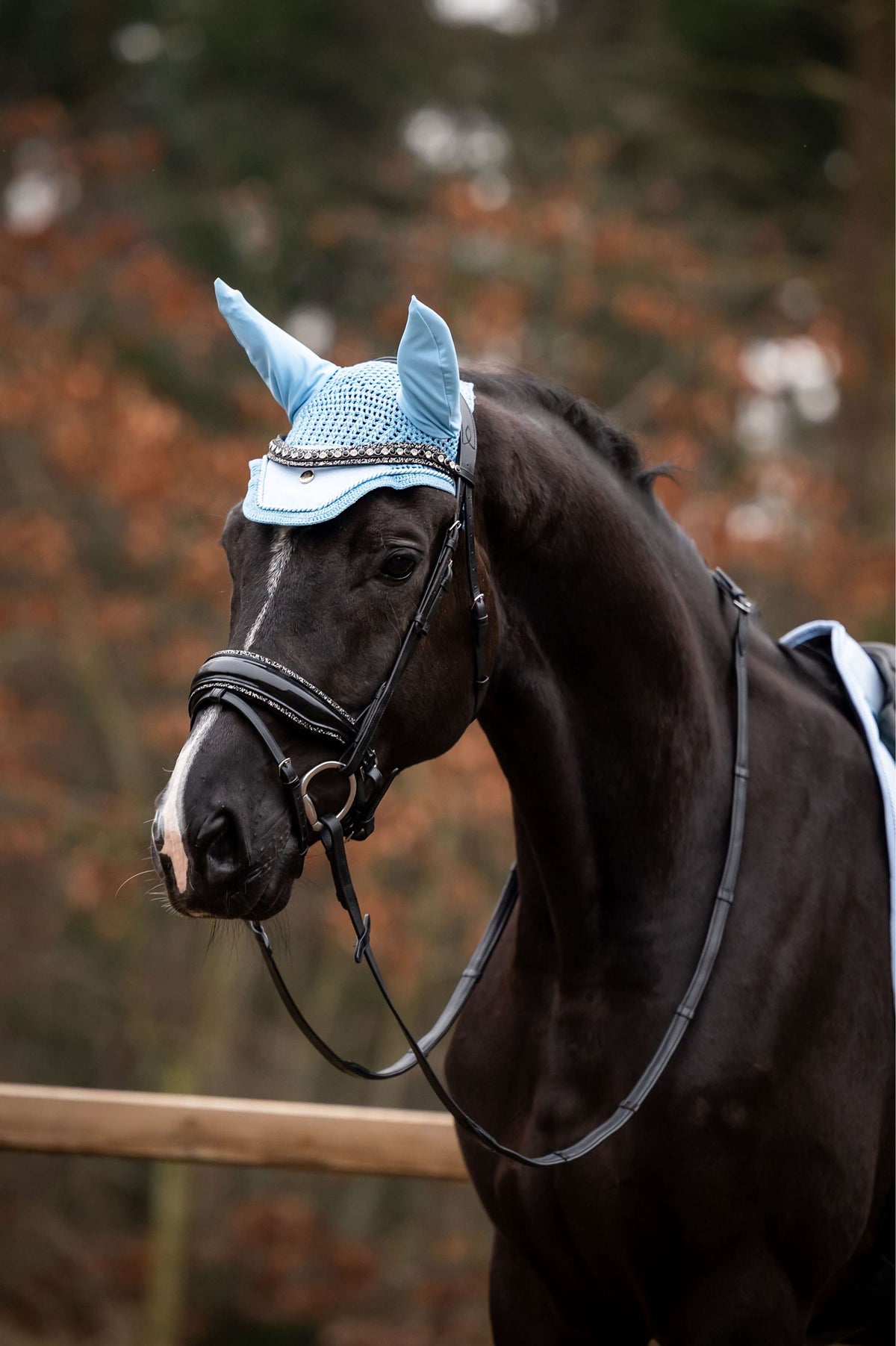 Showtime Cuffietta Spring Azzurro