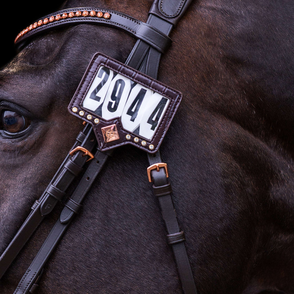 Imperial Riding Numeri di Gara IRHShow and Glow Brown/Brown Croco