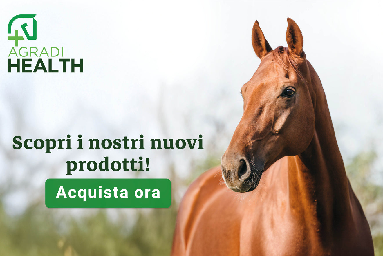Agradi Health Agradi Health