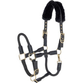 Covalliero Capezzina Anniversary Graphite