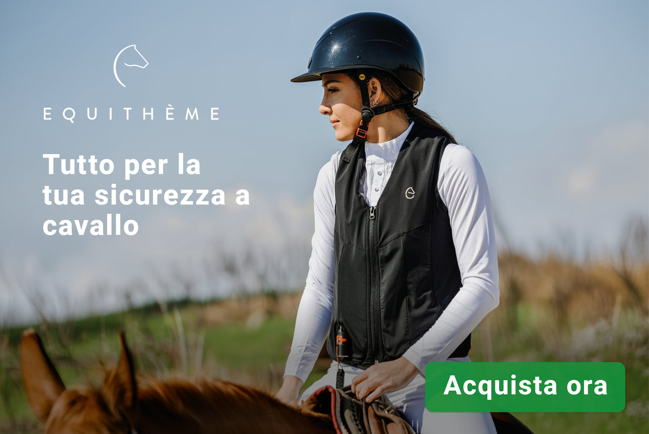 Equitheme veiligheid