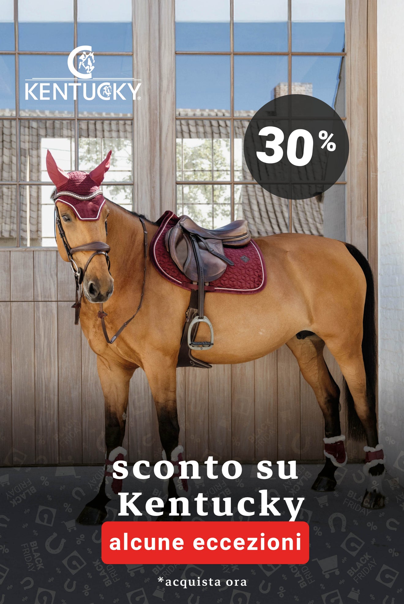 Black Friday Kentucky