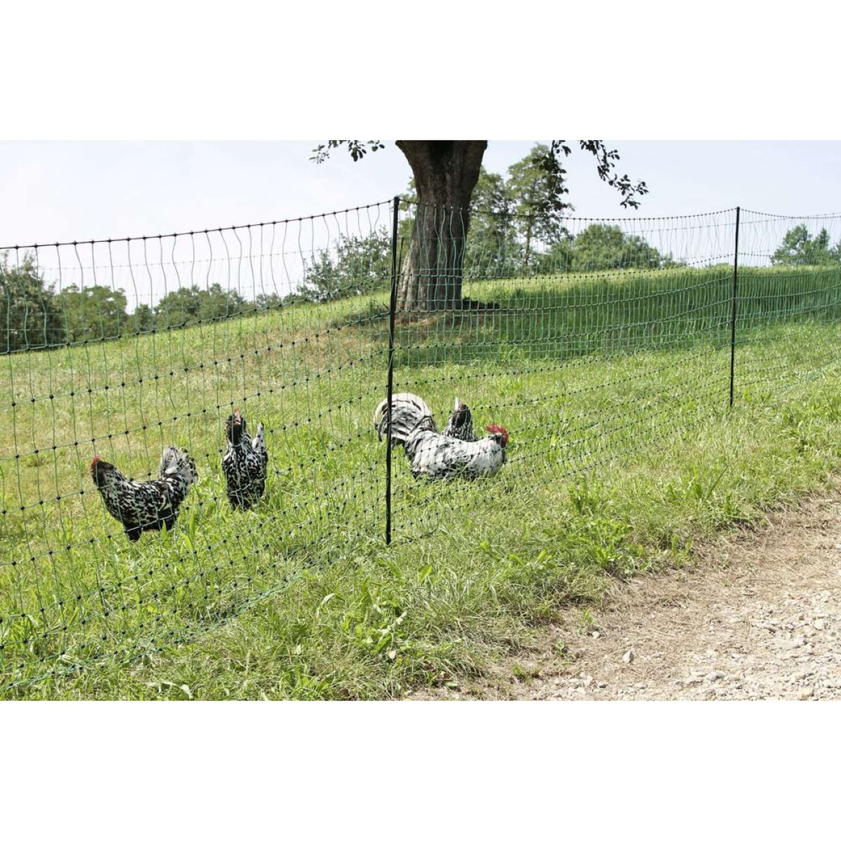 Kerbl Rete per pollame Verde