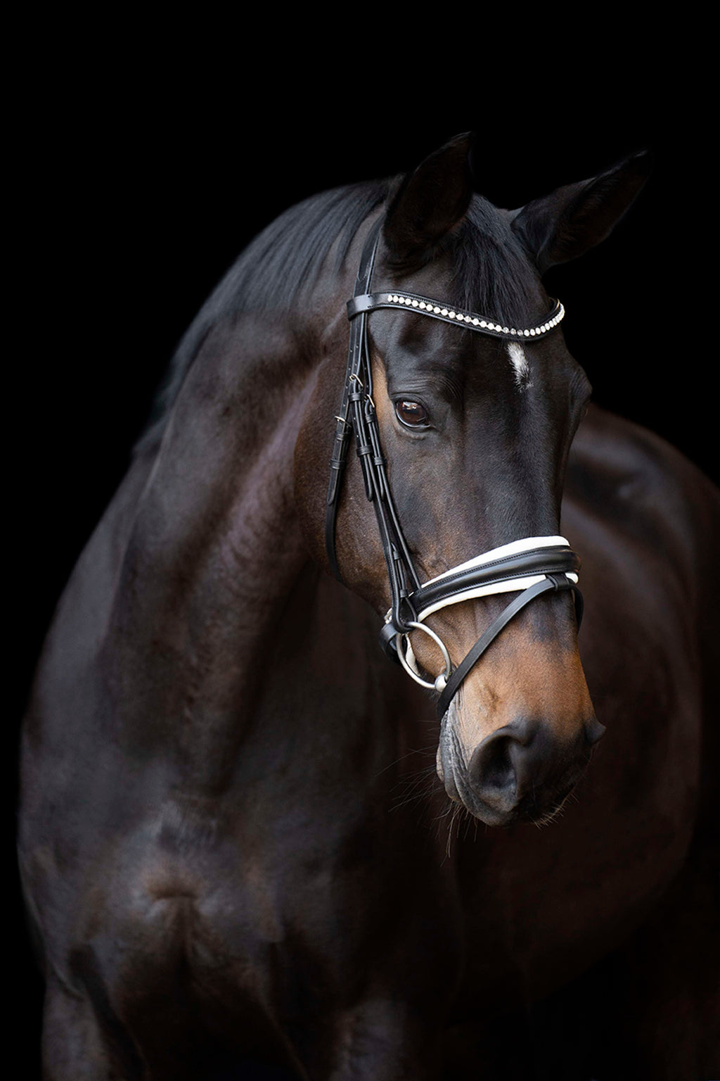 Imperial Riding Briglia IRHFria Trens Nero/Bianco