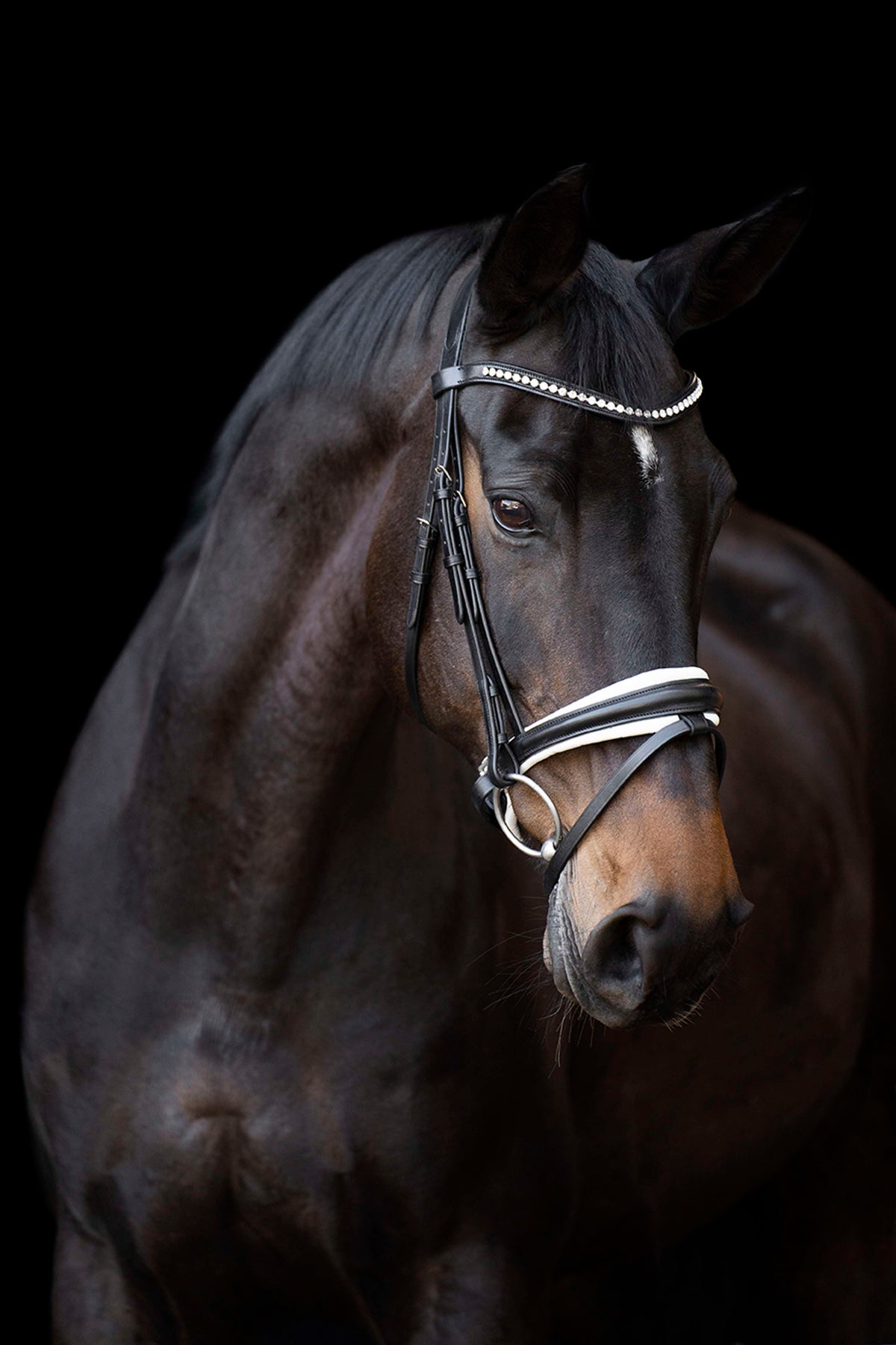 Imperial Riding Briglia IRHFria Trens Nero/Bianco