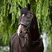 HB Ruitersport Briglia Doppia Special for You Nero