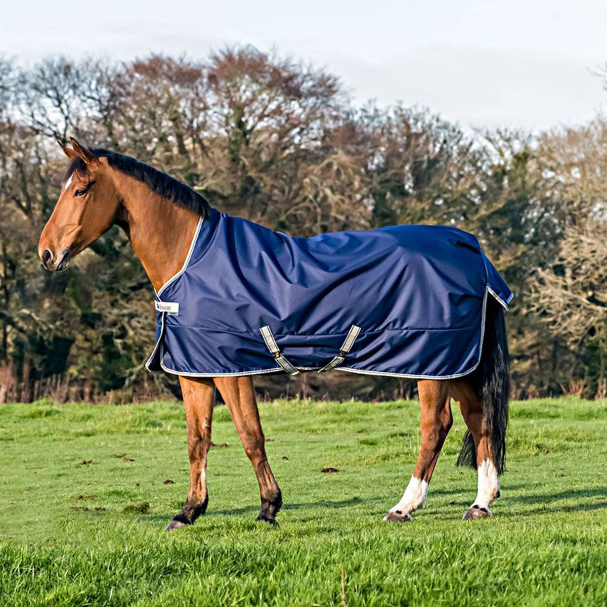 Bucas Turnout Freedom Blu marino/Argento