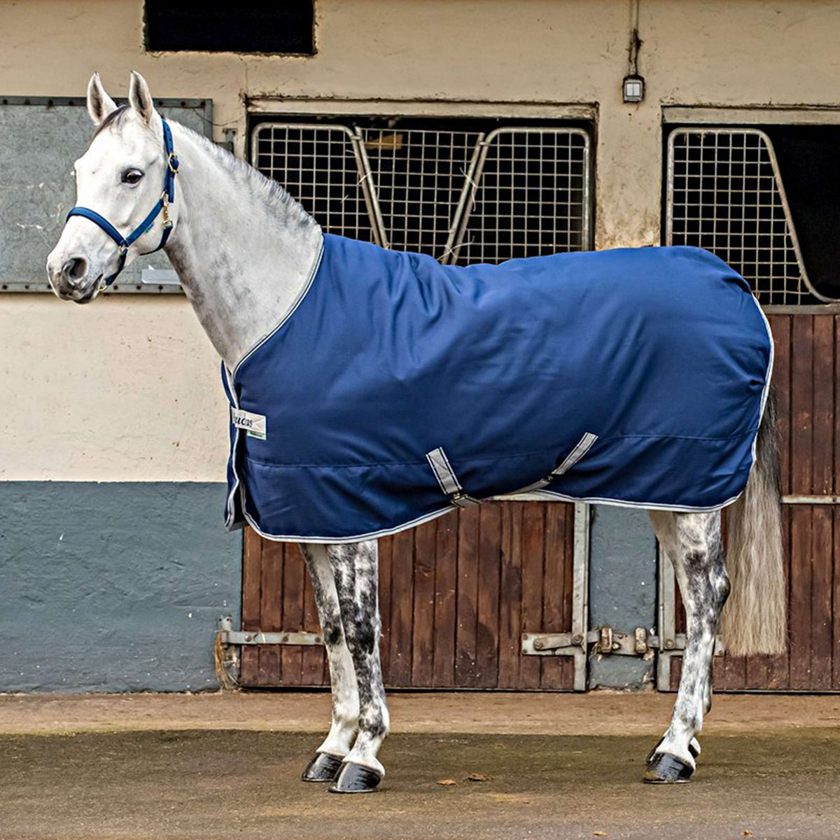 Bucas Freedom Coperta da Scuderia 300g Navy