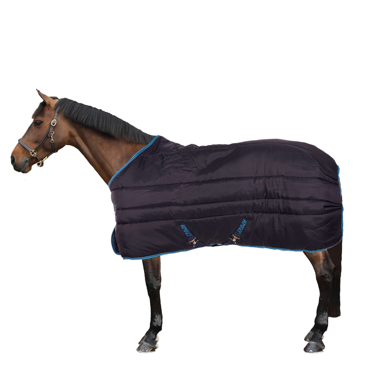 Amigo Coperta da scuderia Insolator 550g Plus Navy/Electric