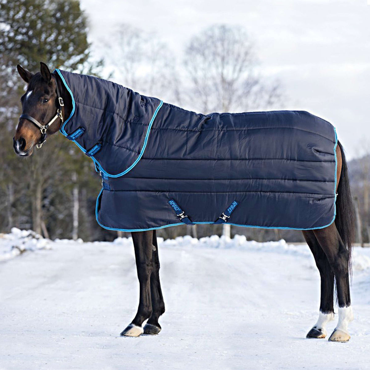 Amigo Coperta da scuderia Insolator 550g Plus Navy/Electric