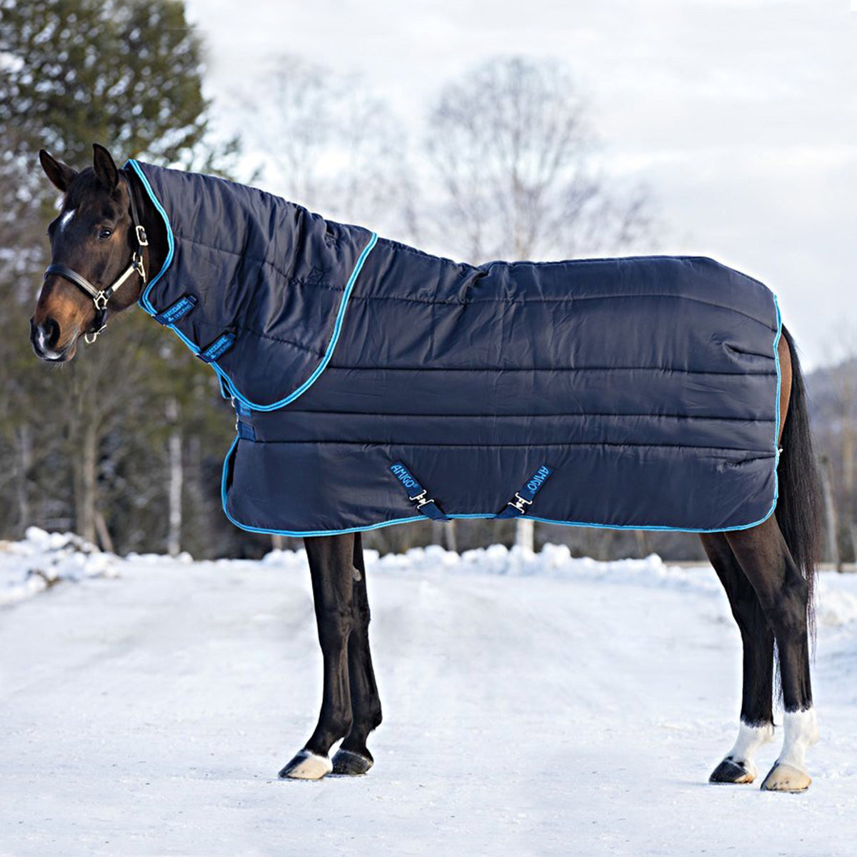 Amigo Coperta da scuderia Insolator 550g Plus Navy/Electric
