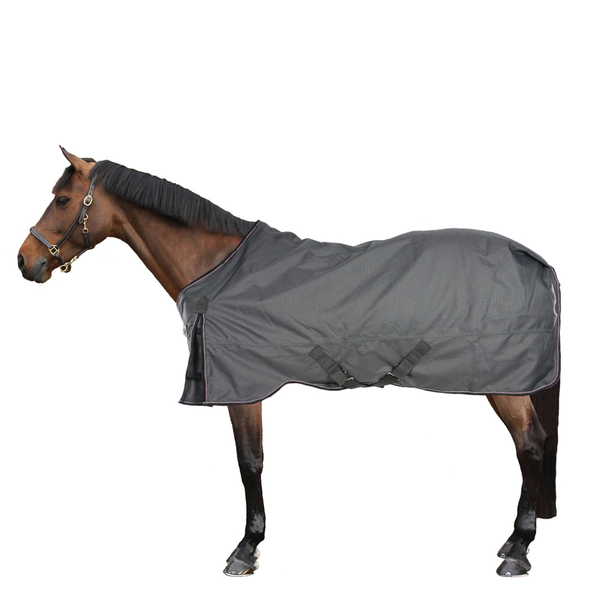 Kavalkade Tappeto da Esterno Alaska IV Grigio